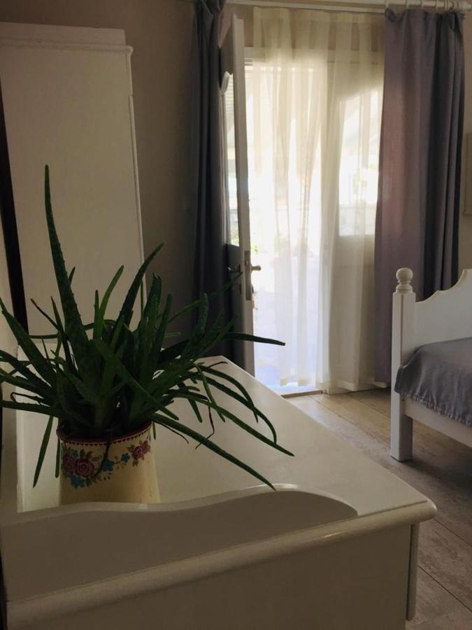 The White Hotel ألاتشاتي المظهر الخارجي الصورة